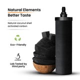 Phoenix Smart Carbon Cartridges - Top-Down View