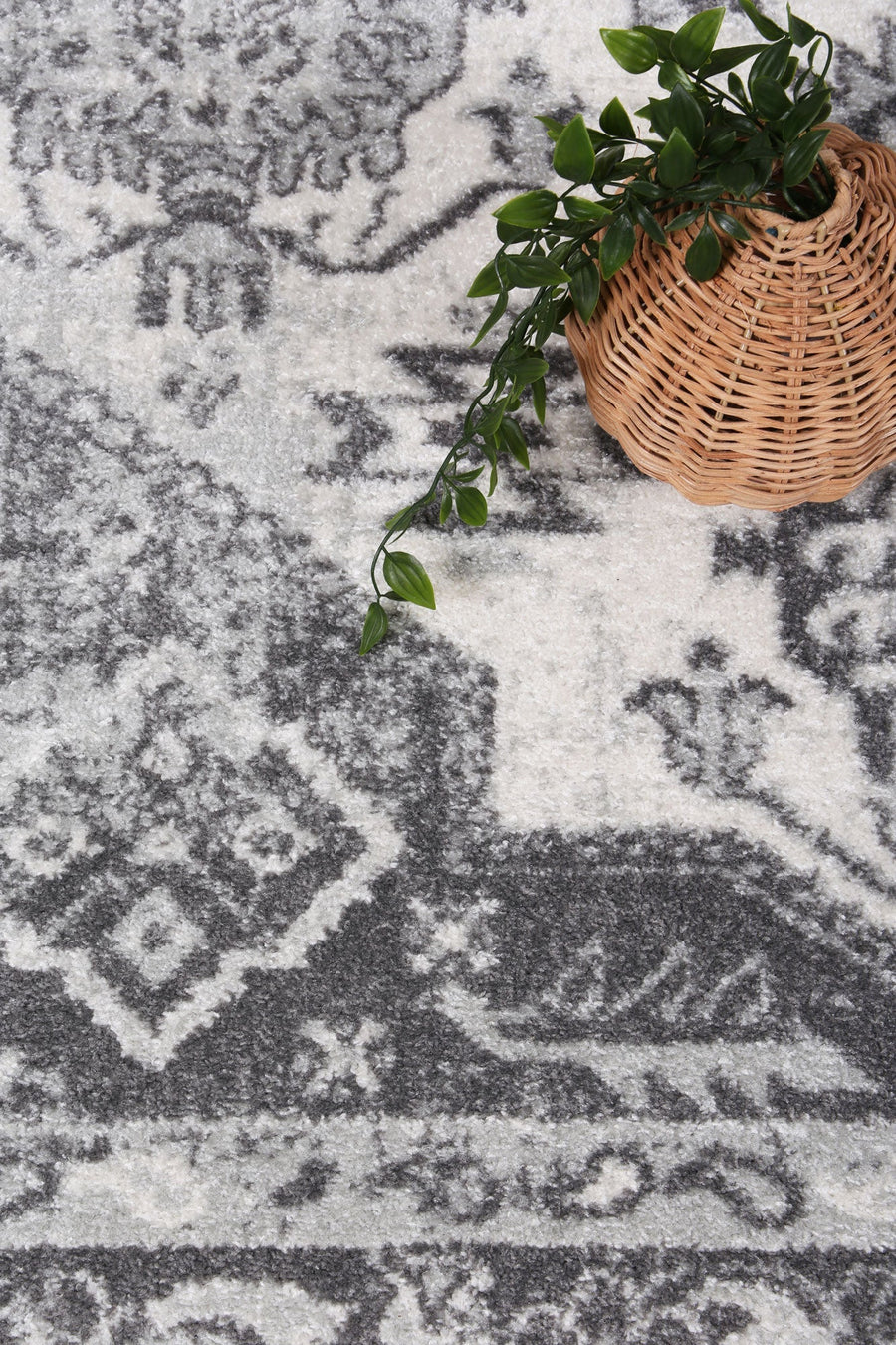 Provence Prov03 Cream/L.Grey 160x230