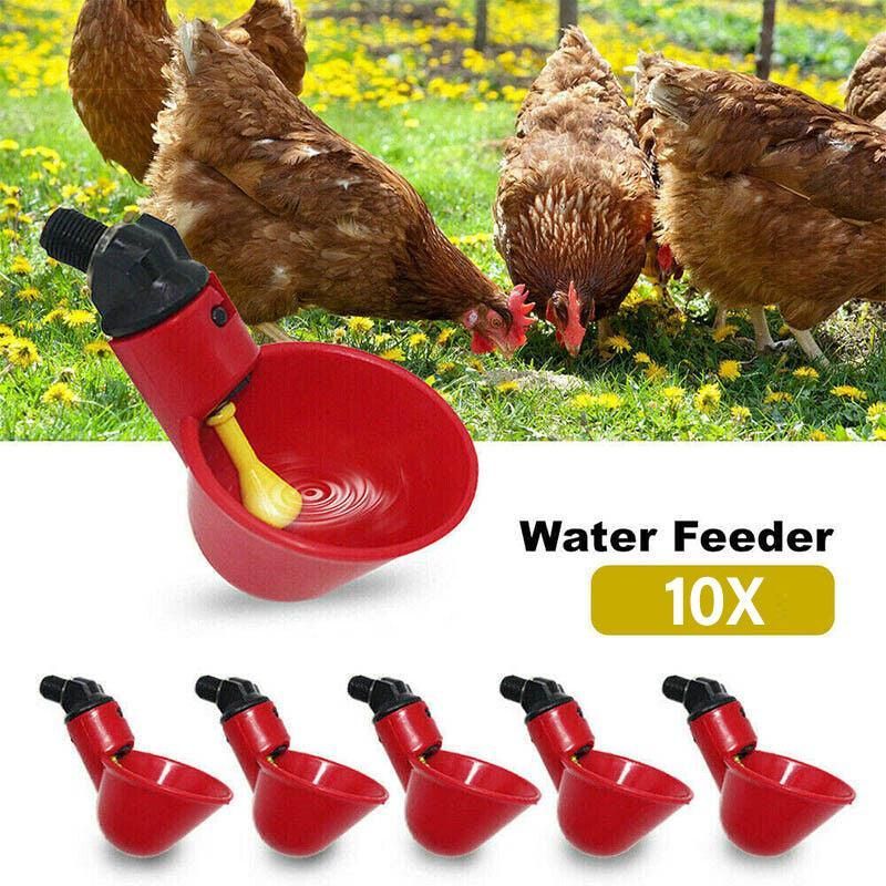 10 Pcs Automatic Poultry Waterer Cups for Chickens & Birds