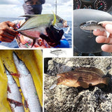 10Pcs Soft Plastic Lures Poddy Mullet Flathead Jig Head Barra Cod Fishing Tackle - Extra Image