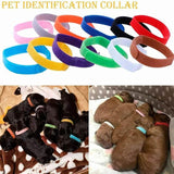 12 Colour Soft ID Collars for Puppies and Kittens Adjustable Pet Identifier Bands - Top-Down View