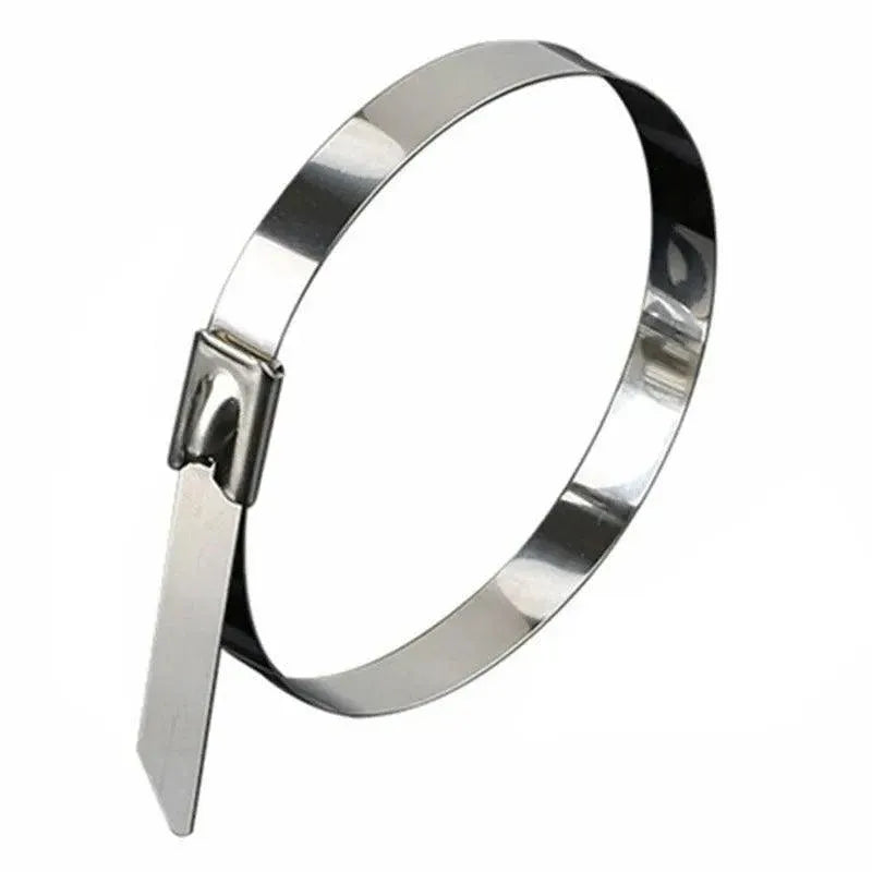 20X Stainless Steel Cable Ties S304 Marine Grade Zip Strap Locking Wrap 100-800Mm - 4.6x350mm