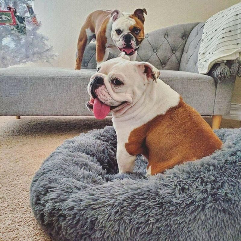 Coffee Cat Bed Pet Bed Dog Donut Nest Calming Deep Sleeping Soft Plush Kennel Washable - 120CM
