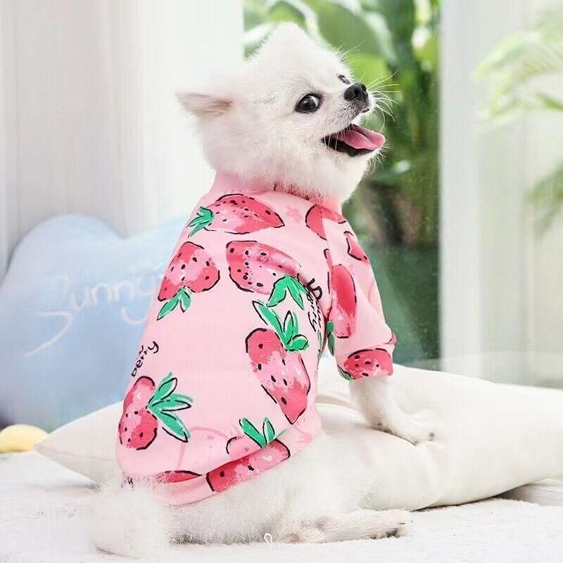 L Size Cute Pet Dog Warm Jumper Sweater Clothes Puppy Cat Knitwear Knitted Coats Winter - Green Lemon