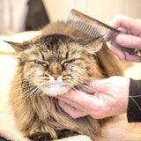 Stainless Steel Teeth Metal Comb Brush Pet Cat Dog Hair Grooming Trimmer Round - XL:19*5.5CM