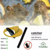 Mouse Trap Flip N Slide Bucket Lid Mouse Rat Trap With Ladder Mousetrap Catcher - Flip N Slide Bucket *1 - Top-Down View