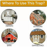 Mouse Trap Flip N Slide Bucket Lid Mouse Rat Trap With Ladder Mousetrap Catcher - Flip N Slide Bucket *1 - 45-Degree Angle