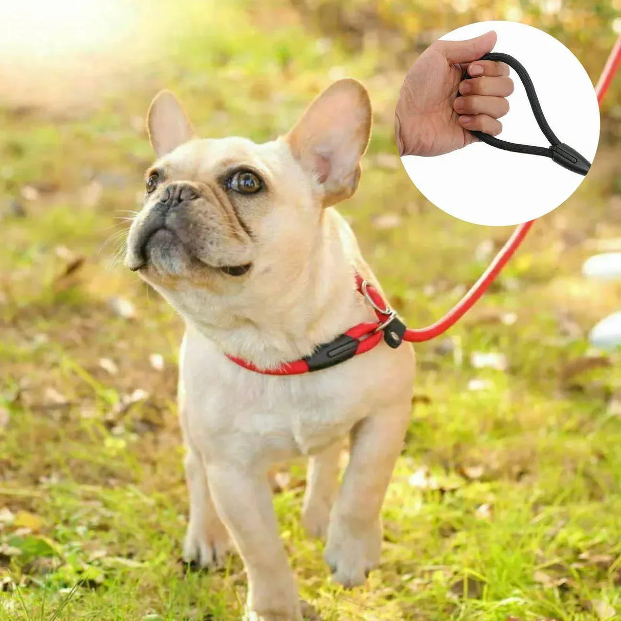 Dog Training Correction Leash Lead Cesar Puppy Pets Millan Slip Nylon Rope 10*140mm - Black