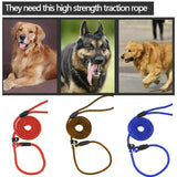Dog Training Correction Leash Lead Cesar Puppy Pets Millan Slip Nylon Rope 10*140mm - Black - Low Angle