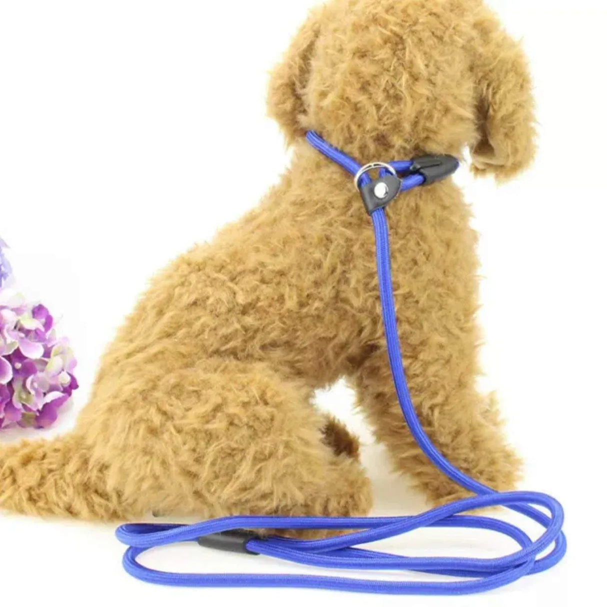 Dog Training Correction Leash Lead Cesar Puppy Pets Millan Slip Nylon Rope 10*140mm - Black