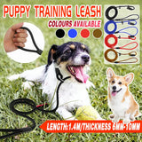 Dog Training Correction Leash Lead Cesar Puppy Pets Millan Slip Nylon Rope 10*140mm - Blue - Front View