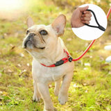 Dog Training Correction Leash Lead Cesar Puppy Pets Millan Slip Nylon Rope 10*140mm - Blue - Top-Down View