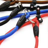 Dog Training Correction Leash Lead Cesar Puppy Pets Millan Slip Nylon Rope 10*140mm - Blue - Extra Image