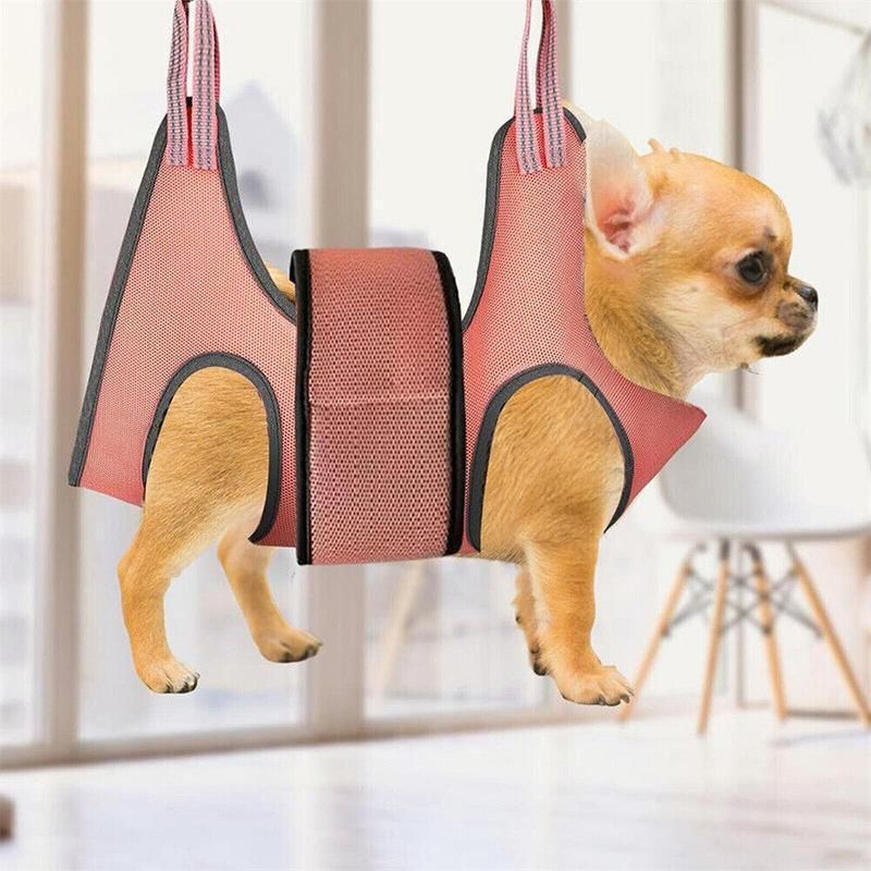 Small Pet Grooming Sling Hammock Dog Cat Restraint Bag Trimming Light Green - S
