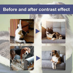 Cat Anti Scratch Spray Protect Door Sofa Furniture Pet Scratch Prevention Spray