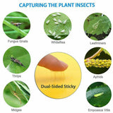 10PCS Yellow Sticky Paper Insect Trap Catcher Killer Fly Aphids Wasp - 25x15cm - 45-Degree Angle