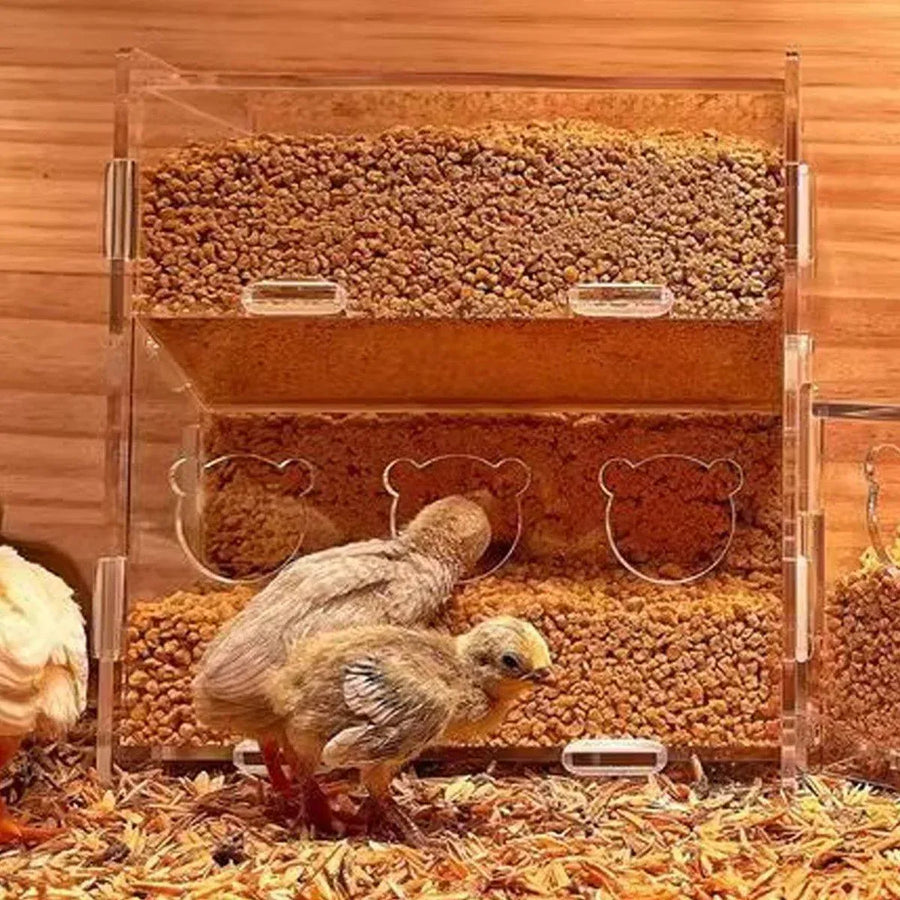 Automatic Acrylic Chicken Feeder Rutin Pet Supplies for Poultry Feeding System - 3 Holes