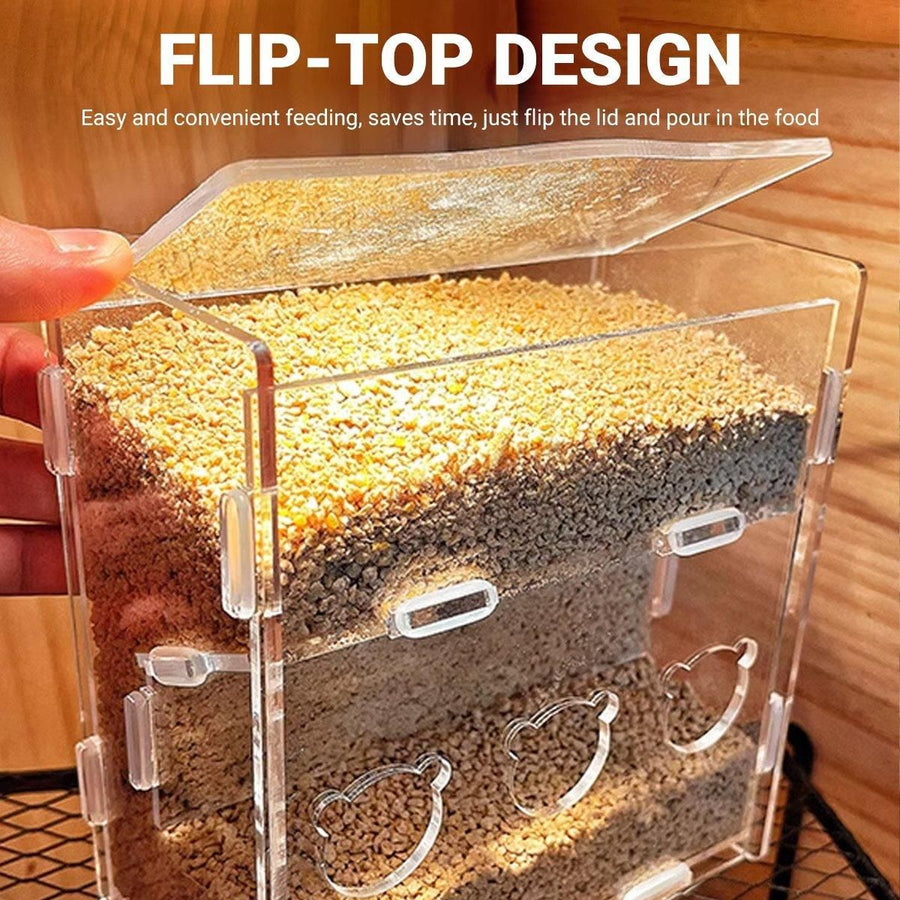 Automatic Acrylic Chicken Feeder Rutin Pet Supplies for Poultry Feeding System - 3 Holes