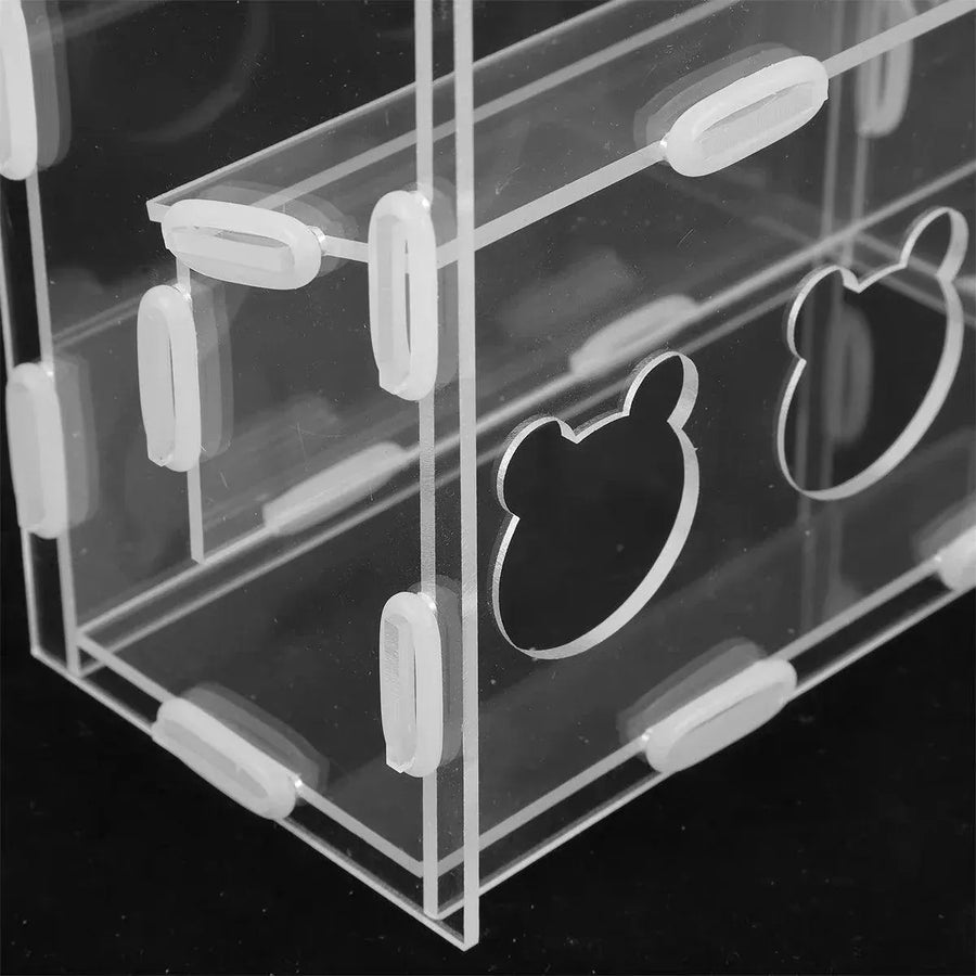 Automatic Acrylic Chicken Feeder Rutin Pet Supplies for Poultry Feeding System - 3 Holes