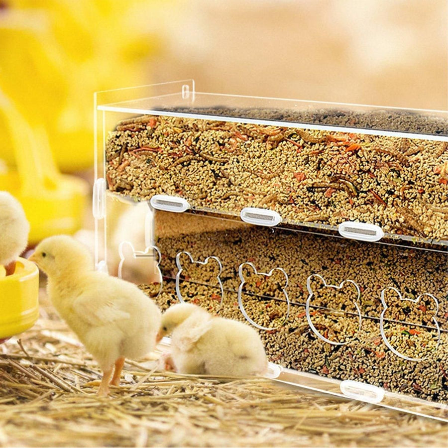 Automatic Acrylic Chicken Feeder Rutin Pet Supplies for Poultry Feeding System - 3 Holes