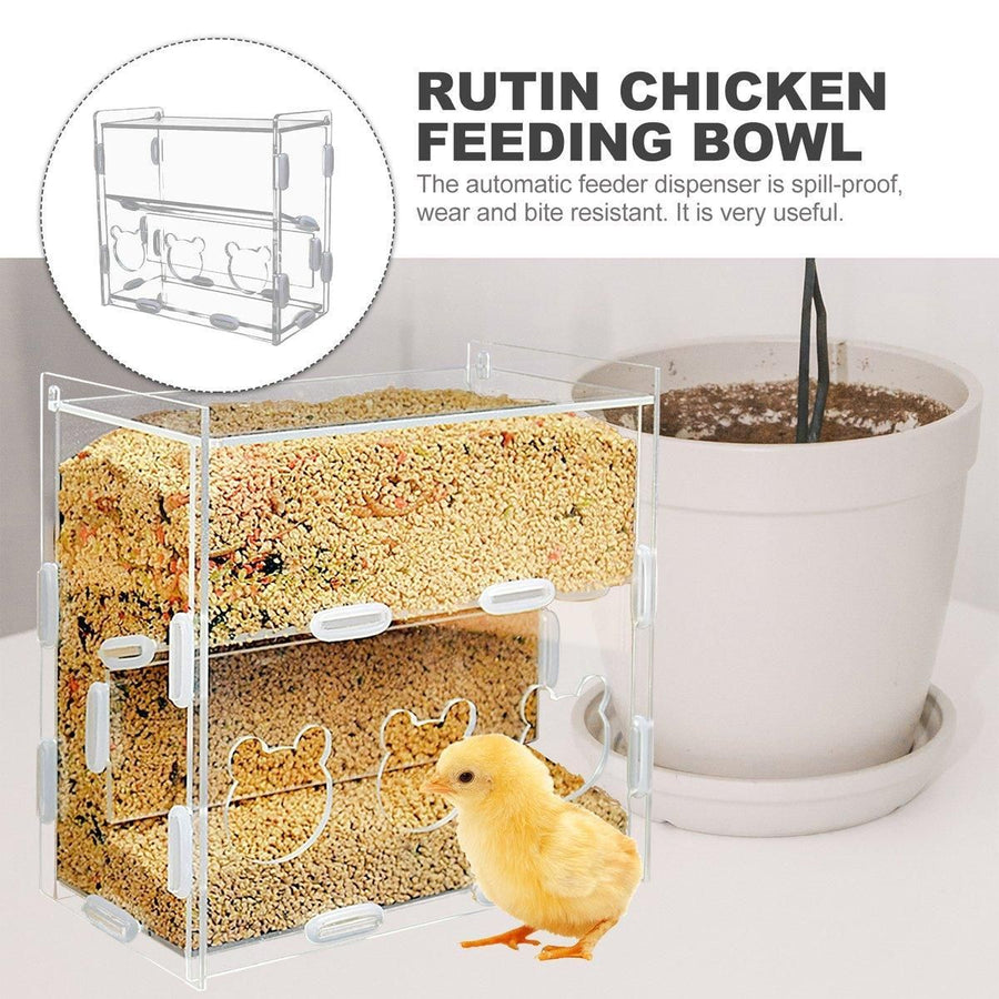 Automatic Acrylic Chicken Feeder Rutin Pet Supplies for Poultry Feeding System - 3 Holes