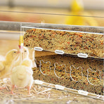 Automatic Acrylic Chicken Feeder Rutin Pet Supplies for Poultry Feeding System - 5 Holes
