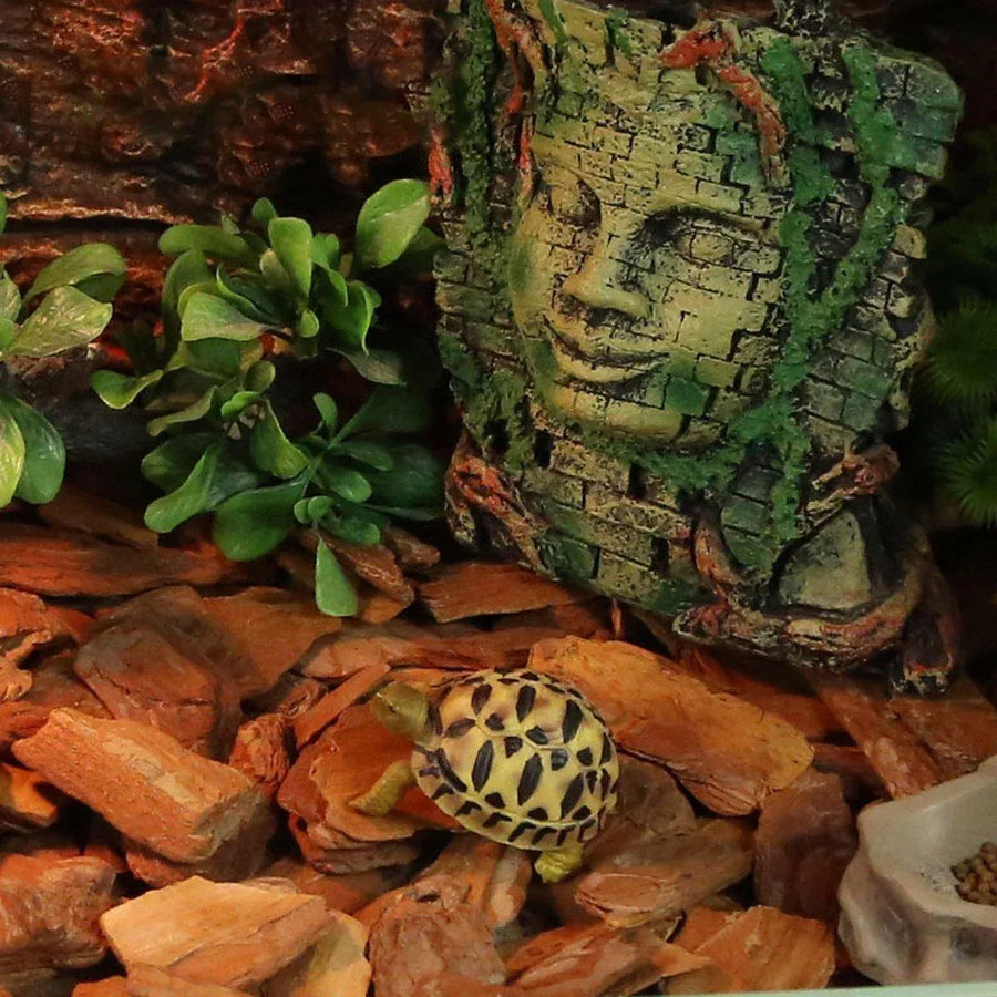 Reptile Bedding Substrate for Lizard Snake Tortoise Natural Bark Material - Small 650g