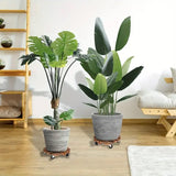 Wooden Round Universal Wheel Planter Base Tray Mobile Planter Stand for Garden - Extra Image