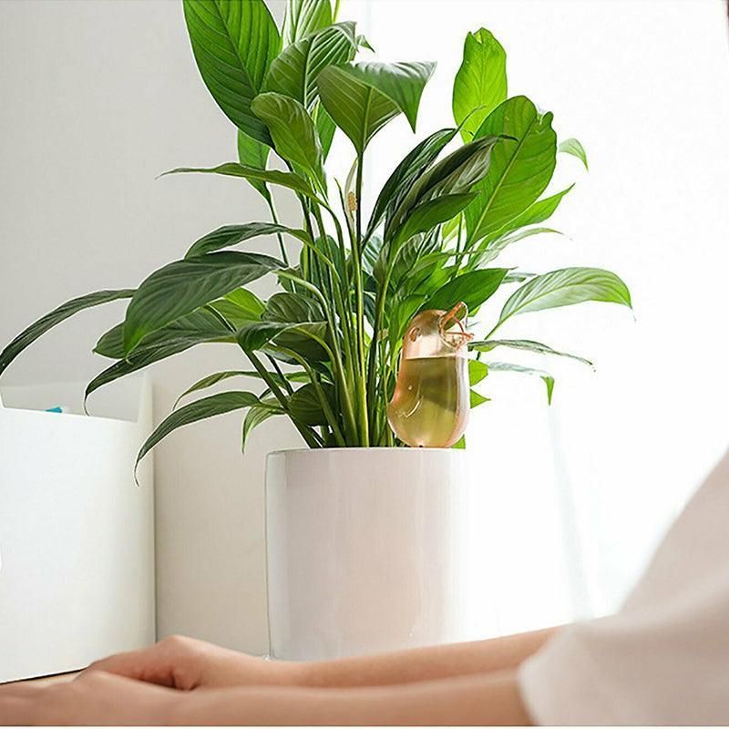 4Pcs Plant Self Watering Spikes Pot Drip Irrigation Garden Tool Plant Waterer Au