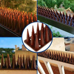 12Pcs Bird Spikes Cat Possum Mouse Pest Control Spiked Fence Wall Deterrent Long