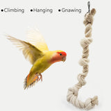Parrot Chewing Climbing Rope Toy for Birds Cage Interactive Perch Play Equipment - Top-Down View
