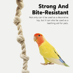 Parrot Chewing Climbing Rope Toy for Birds Cage Interactive Perch Play Equipment
