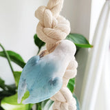 Parrot Chewing Climbing Rope Toy for Birds Cage Interactive Perch Play Equipment - Low Angle
