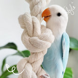 Parrot Chewing Climbing Rope Toy for Birds Cage Interactive Perch Play Equipment - Extra Image
