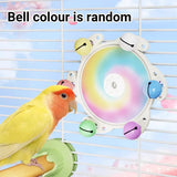 Parrot Interactive Educational Enrichment Toy Bird Play Activity - Close-Up Angle