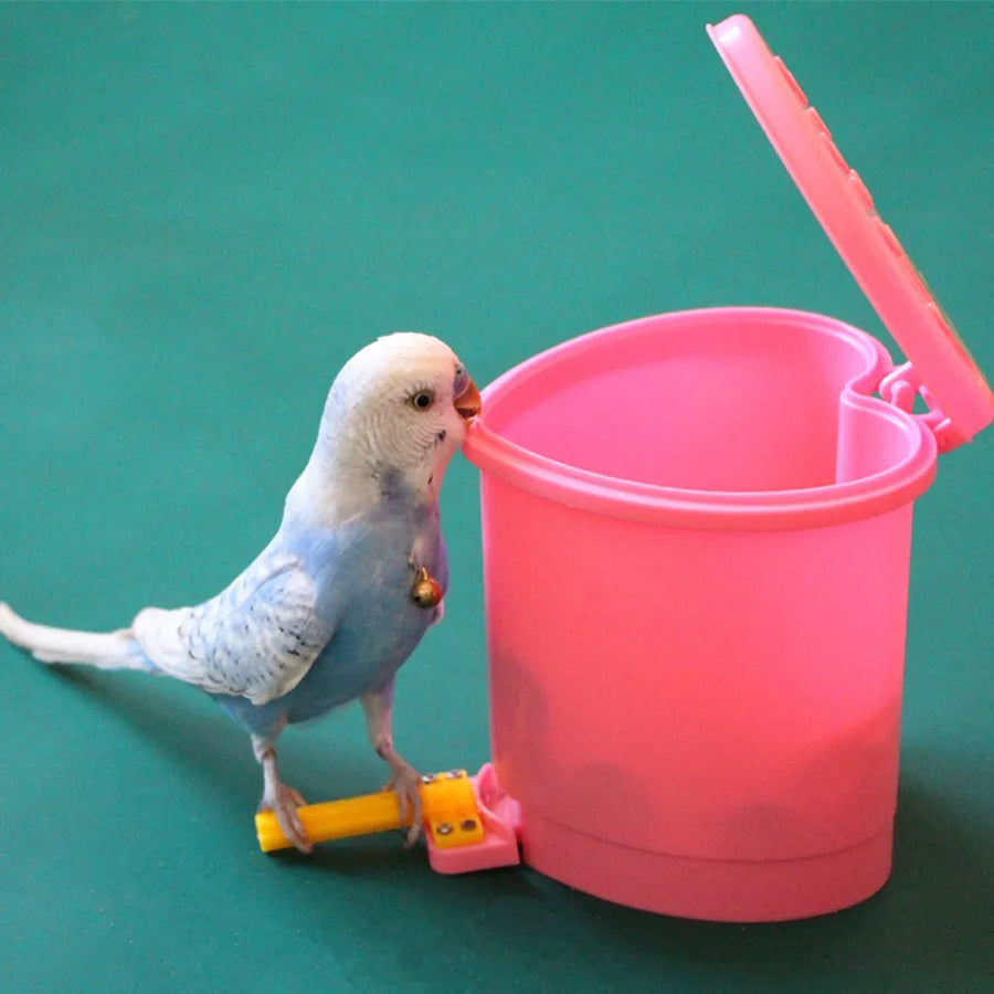 Parrot Educational Toys Bird Chew Toys Training Toy Colorful Interactive Playset