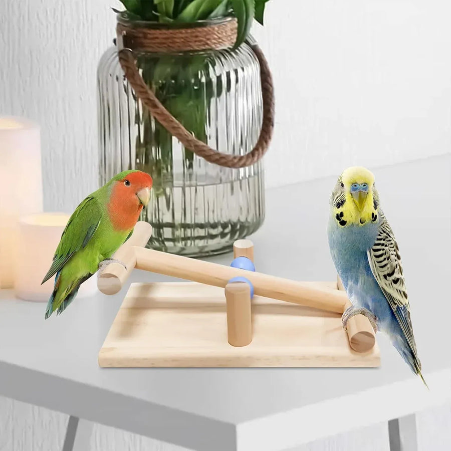 Interactive Bird Seesaw for Small Medium Birds Cage Toy Training Play Equipment