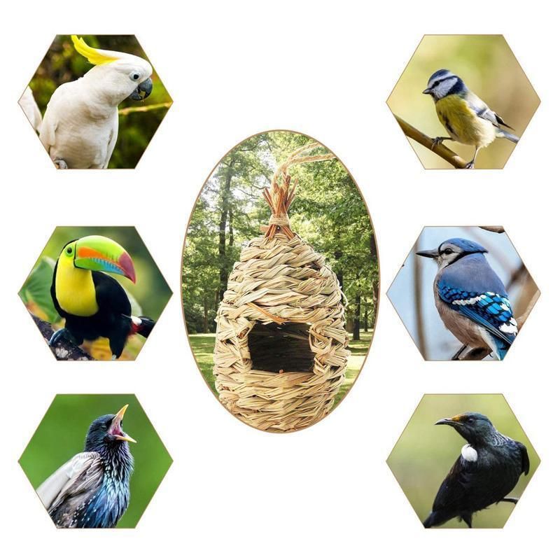 Qttie Bird Nest Breeding Box House Bed Cage Hut Cave Canary Finch Budgie Parrot - Treehouse