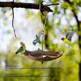 Metal Home Decoration Garden Umbrella Bird Bath Feeder Bird Trough Bird Feeders - Top-Down View