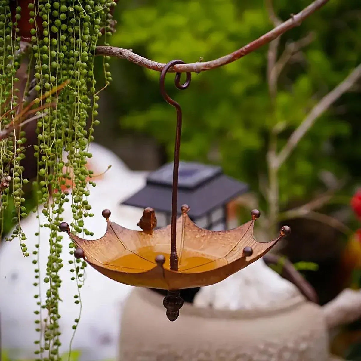 Metal Home Decoration Garden Umbrella Bird Bath Feeder Bird Trough Bird Feeders