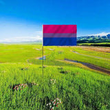Bisexual Large Flag 150X90Cm Bi Sexual Pride Lgbt Lesbian Gay Rainbow Mardi Gras