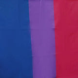 Bisexual Large Flag 150X90Cm Bi Sexual Pride Lgbt Lesbian Gay Rainbow Mardi Gras - Extra Image