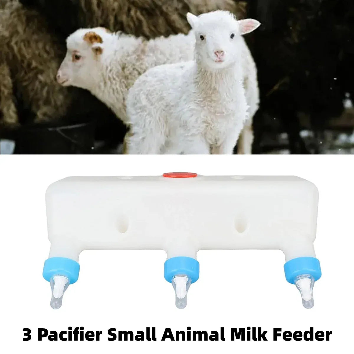Feeding Bottle Set Livestock Feeder Plastic Transparent Bottle For Piglet Lamb