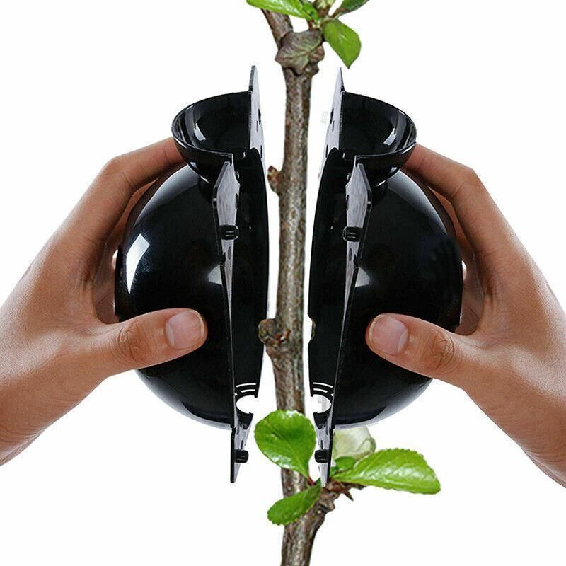 10Pcs Plant Rooting Ball High Pressure Propagation Box Grafting Breeding Device - L-12CM-10PCS