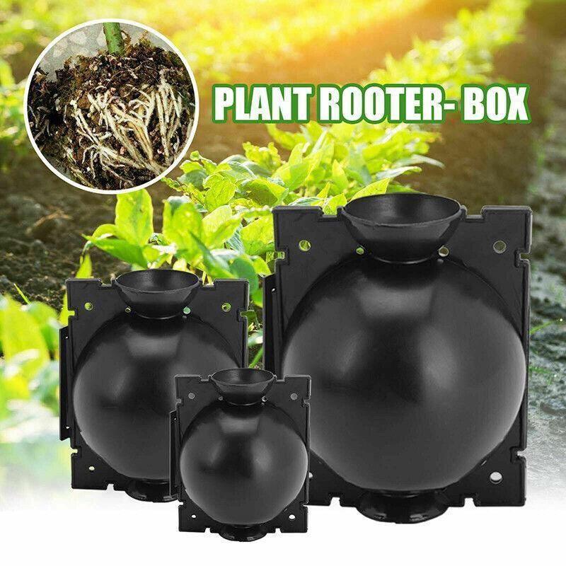 10Pcs Plant Rooting Ball High Pressure Propagation Box Grafting Breeding Device - S-5CM-10PCS