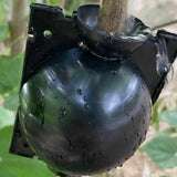 10Pcs Plant Rooting Ball High Pressure Propagation Box Grafting Breeding Device - S-5CM-10PCS - Side View