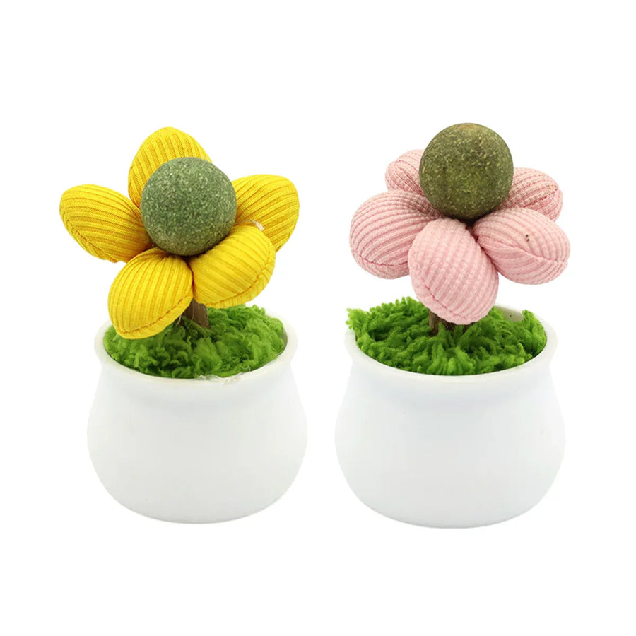 Catnip Ball Cat Chew Toy Cute Flower Pot Shaped Interactive Play Teeth Cleaning - Pink