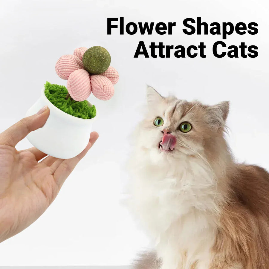 Catnip Ball Cat Chew Toy Cute Flower Pot Shaped Interactive Play Teeth Cleaning - Pink