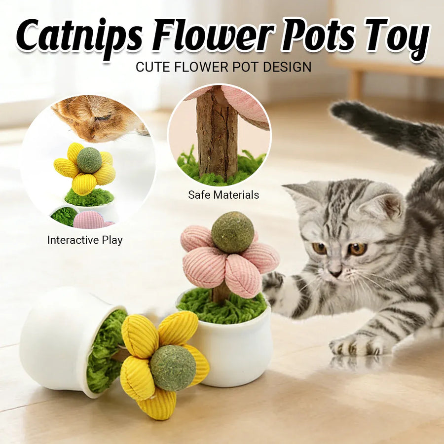 Catnip Ball Cat Chew Toy Cute Flower Pot Shaped Interactive Play Teeth Cleaning - Yellow