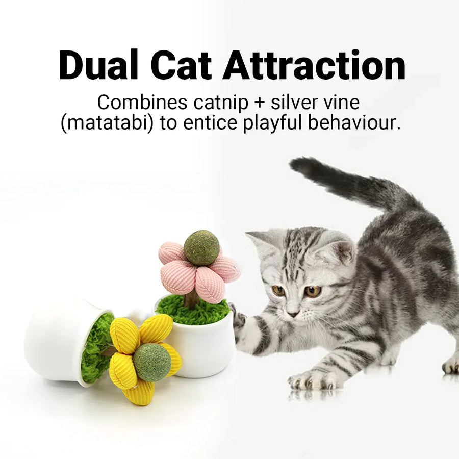 Catnip Ball Cat Chew Toy Cute Flower Pot Shaped Interactive Play Teeth Cleaning - Yellow